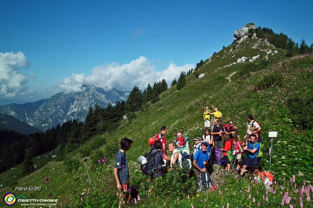 14 Al Passo di Corna Busa...in piena fioritura!.JPG